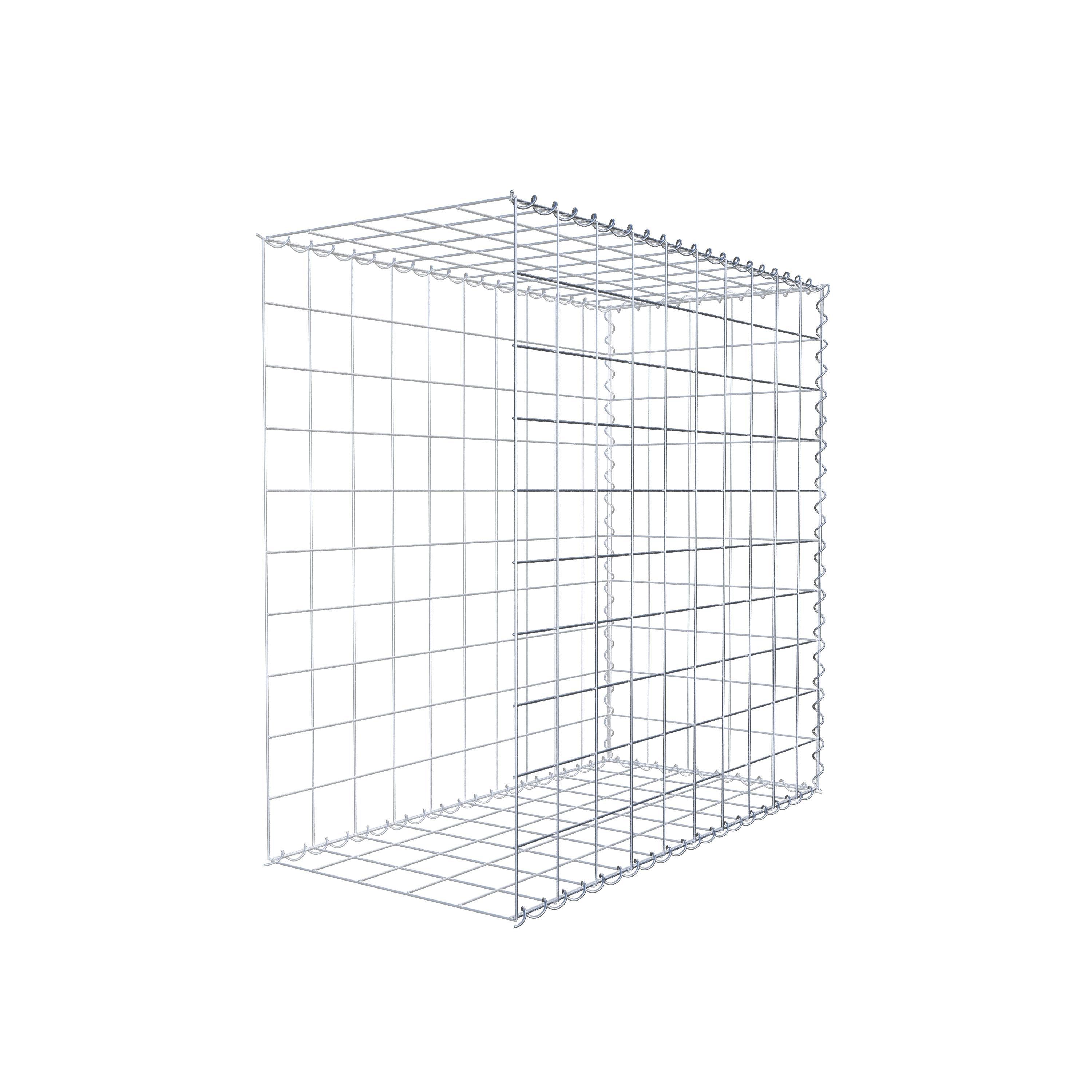 Grown-on gabion type 2 100 cm x 100 cm x 50 cm (L x H x D), mesh size 10 cm x 10 cm, spiral