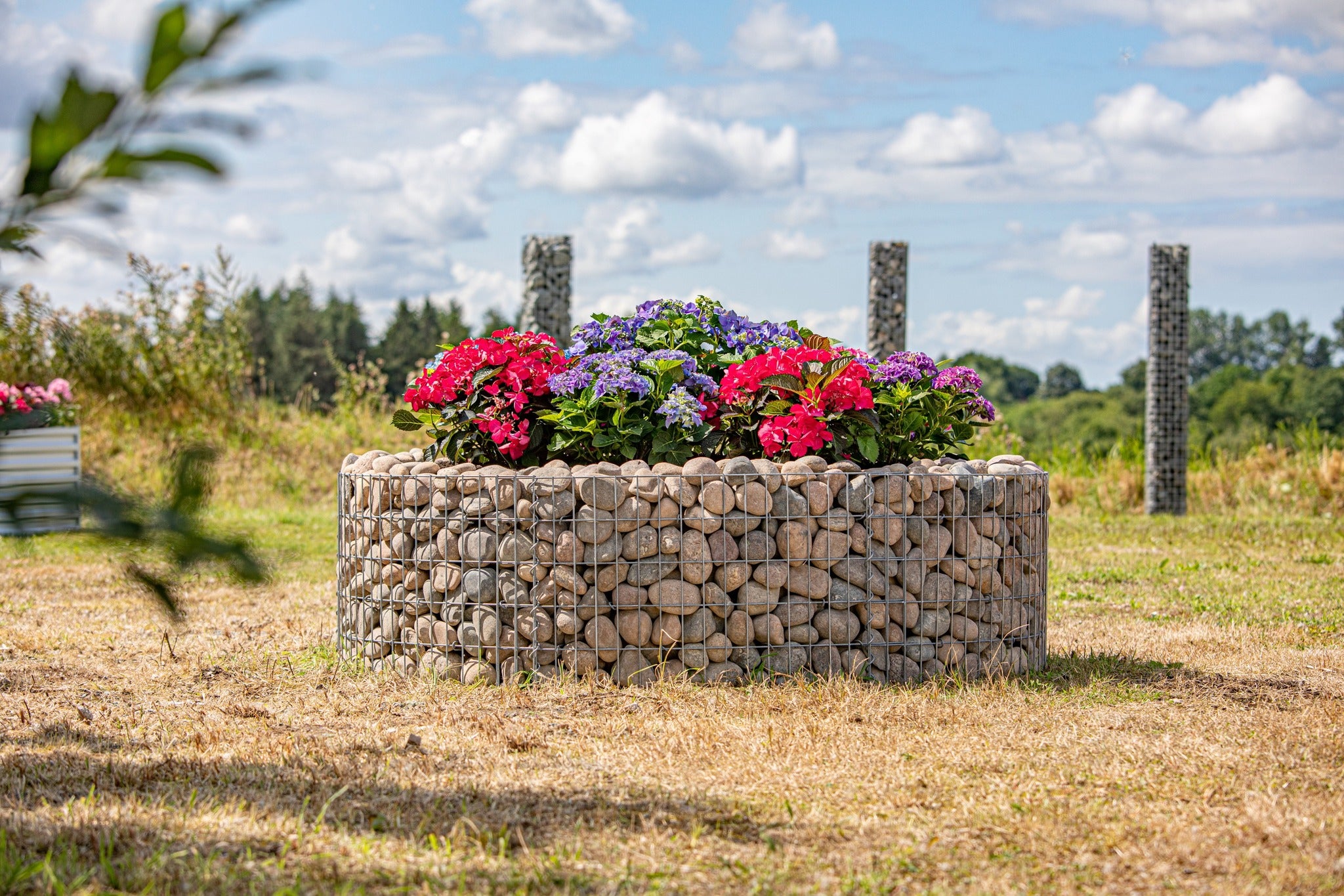 Pflanzgabionen online kaufen: Nachhaltige und kreative Begrünungslösungen für den Garten