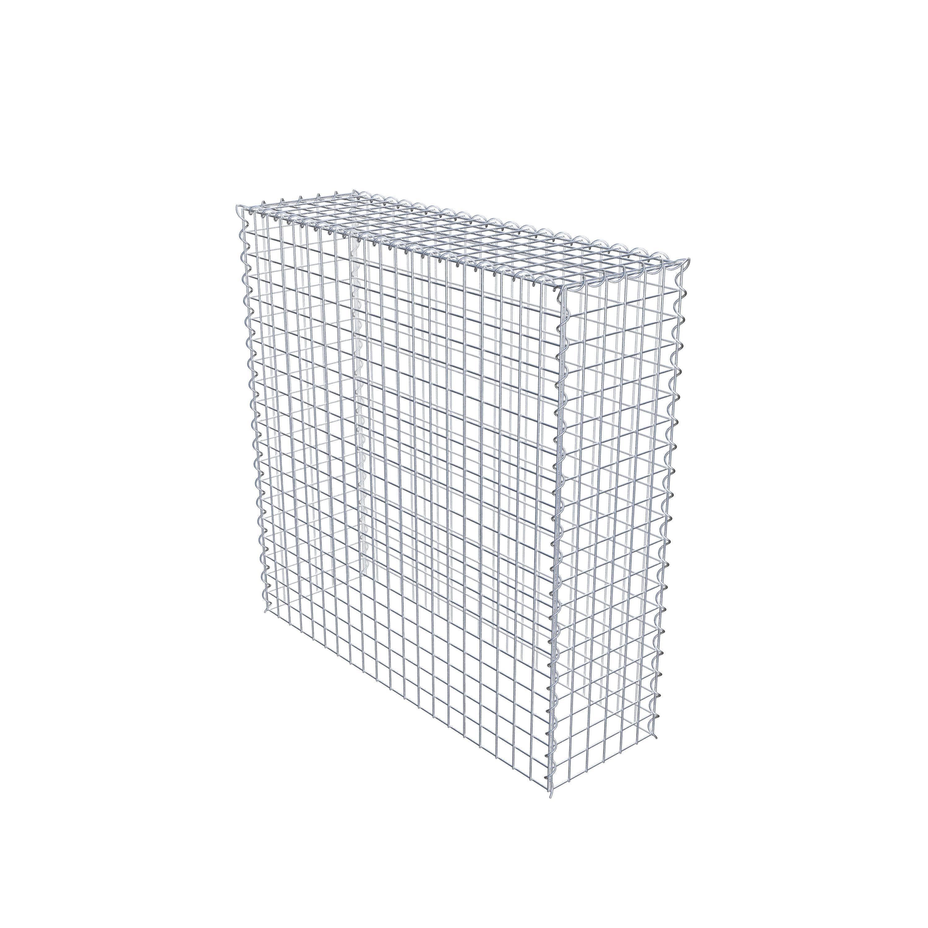 Grown-on gabion type 3 100 cm x 100 cm x 30 cm (L x H x D), mesh size 5 cm x 5 cm, spiral